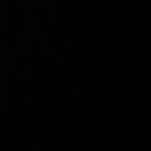 Meet your Posher, Bradlie